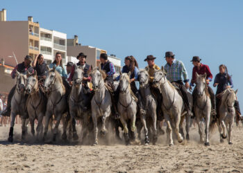 Féria d’automne : quand les traditions camarguaises rencontrent la Méditerranée à Palavas