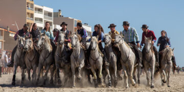 Féria d’automne : quand les traditions camarguaises rencontrent la Méditerranée à Palavas