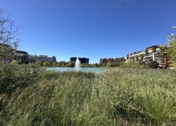 35° pour ton lundi à Montpellier