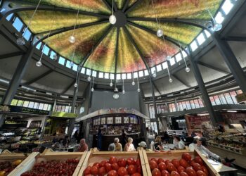 À Montpellier, La Baraquette réinvente le bar à poissons aux Halles Laissac