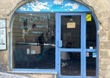Le retour d'un bar à chats à Montpellier