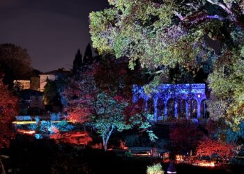 3 places et jardins emblématiques s'animeront pour la 11e édition de « Cœur de Ville en Lumières » !