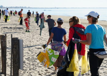 Pays de L'Or : 150 participants pour nettoyer les plages de Carnon, Palavas et La Grande Motte