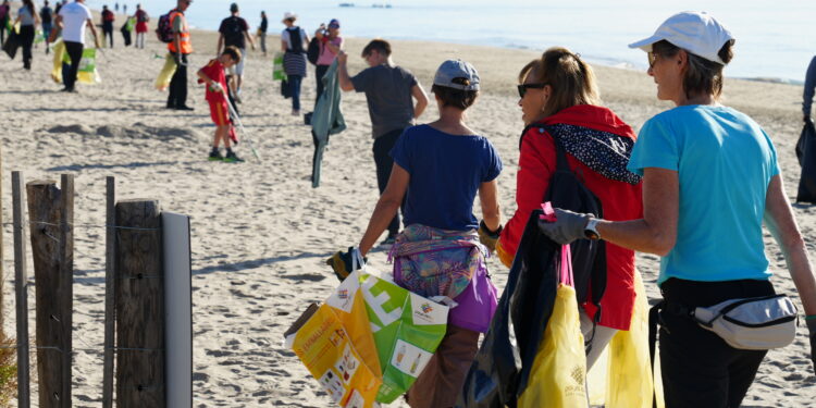 Pays de L'Or : 150 participants pour nettoyer les plages de Carnon, Palavas et La Grande Motte