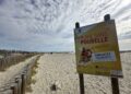 L'opération « Faites plage nette » investit Carnon, La Grande-Motte et Palavas