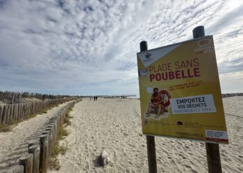 L'opération « Faites plage nette » investit Carnon, La Grande-Motte et Palavas
