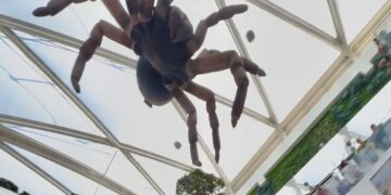 Les POLY'days spécial Halloween au Polygone de Montpellier