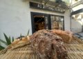 Au Rythme du Pain : Le goût du vrai pain et de la saison au cœur du quartier Boutonnet