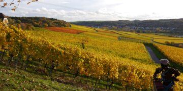 une balade vélo, vin et copains près de Montpellier